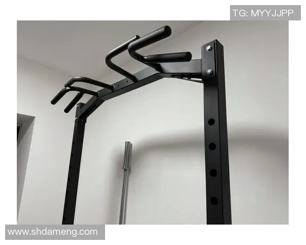 提升引体向上能力的健身器材推荐与训练技巧分享